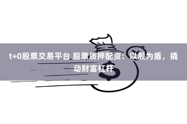t+0股票交易平台 股票质押配资：以股为盾，撬动财富杠杆