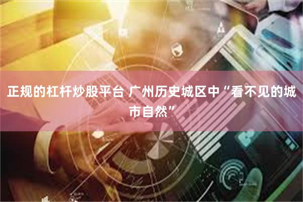 正规的杠杆炒股平台 广州历史城区中“看不见的城市自然”