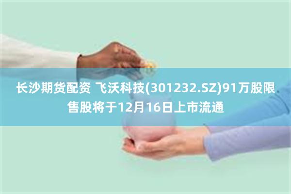 长沙期货配资 飞沃科技(301232.SZ)91万股限售股将于12月16日上市流通
