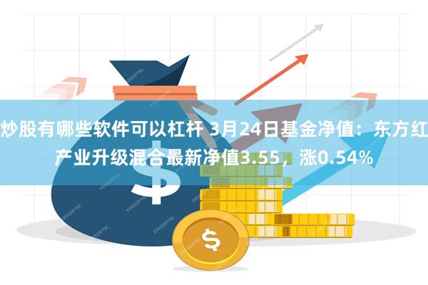 炒股有哪些软件可以杠杆 3月24日基金净值：东方红产业升级混合最新净值3.55，涨0.54%