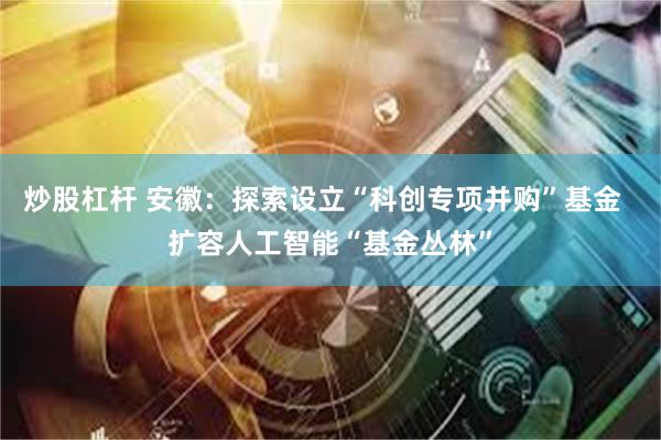 炒股杠杆 安徽：探索设立“科创专项并购”基金  扩容人工智能“基金丛林”