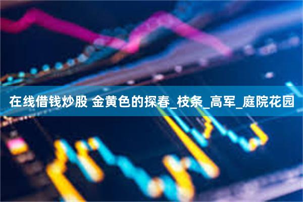 在线借钱炒股 金黄色的探春_枝条_高军_庭院花园