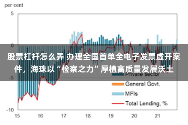股票杠杆怎么弄 办理全国首单全电子发票虚开案件，海珠以“检察之力”厚植高质量发展沃土