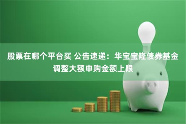 股票在哪个平台买 公告速递：华宝宝隆债券基金调整大额申购金额上限