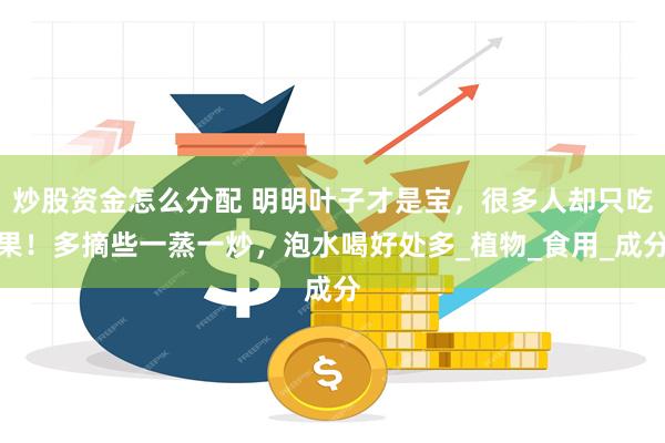 炒股资金怎么分配 明明叶子才是宝，很多人却只吃果！多摘些一蒸一炒，泡水喝好处多_植物_食用_成分