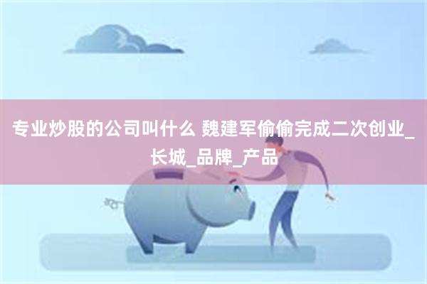 专业炒股的公司叫什么 魏建军偷偷完成二次创业_长城_品牌_产品