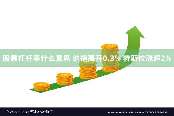 股票杠杆率什么意思 纳指高开0.3% 特斯拉涨超2%
